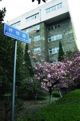 校园风景